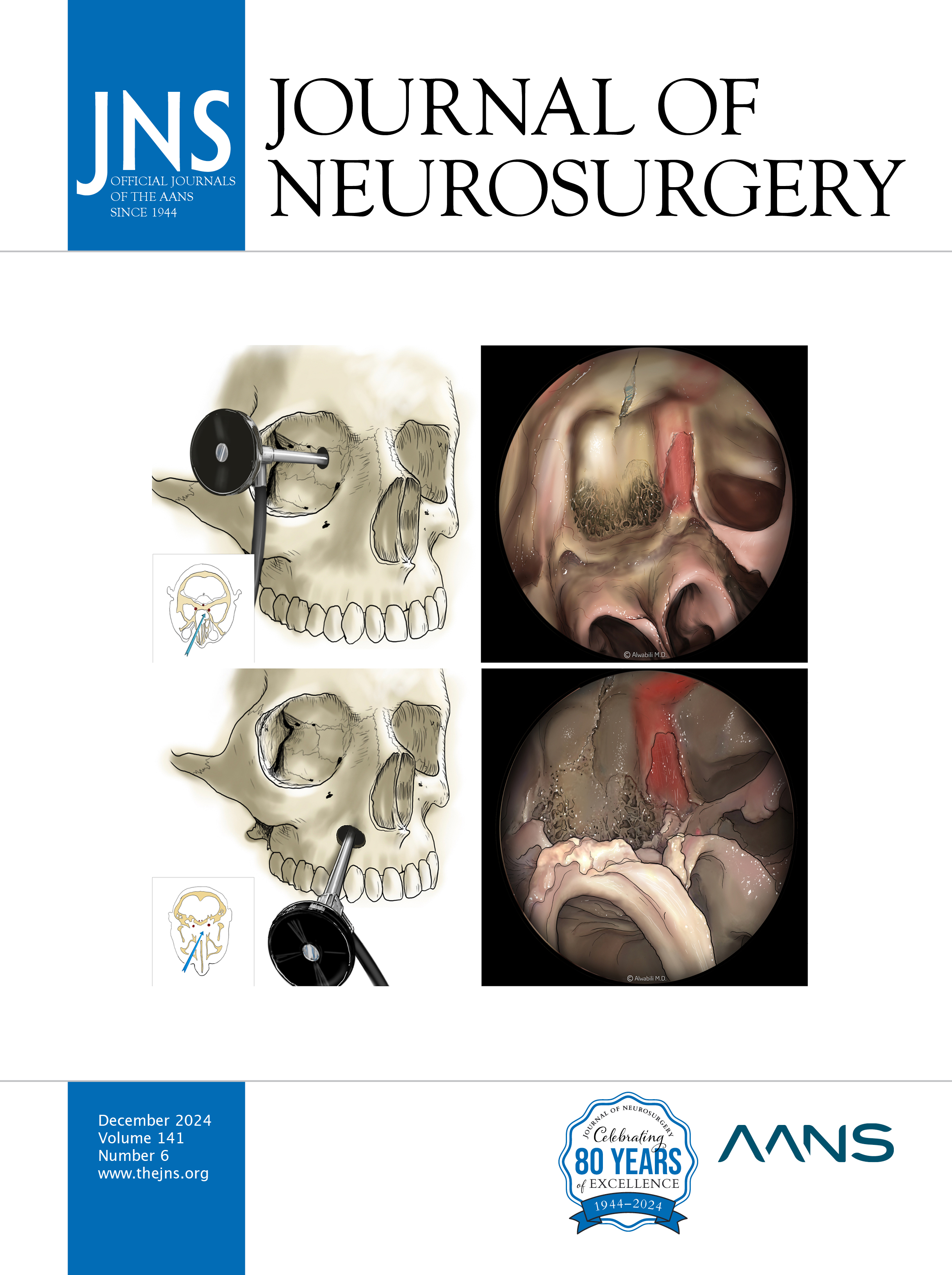 Journal of Neurosurgery | volume 141 issue 6
